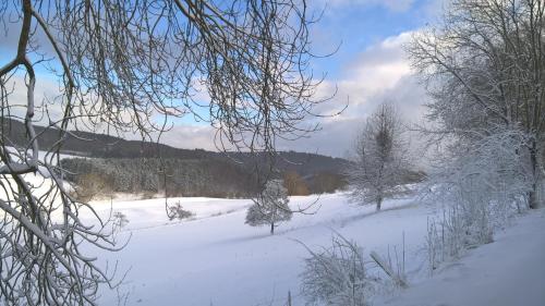 Funny-Farm - image 3