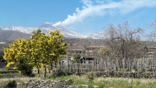 Alberto Mt Etna B&B & Holiday rentals – Zafferana, CA