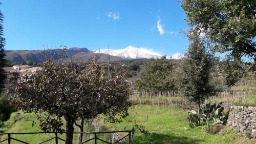 Alberto's Mt.Etna B&B - image 6