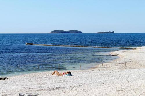  Rooms by the sea Rovinj - 13591 in Rovinj