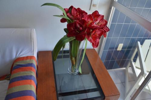 

Apartamento Sá Recife