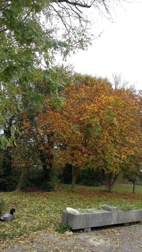 Treliver Farm