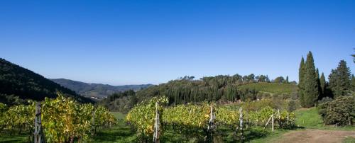  Casa Marina in Greve in Chianti