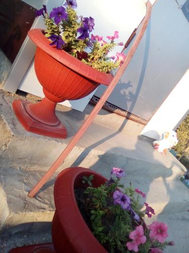 Katerina Holiday Home - image 6