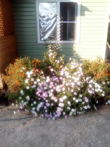 Katerina Holiday Home - image 7