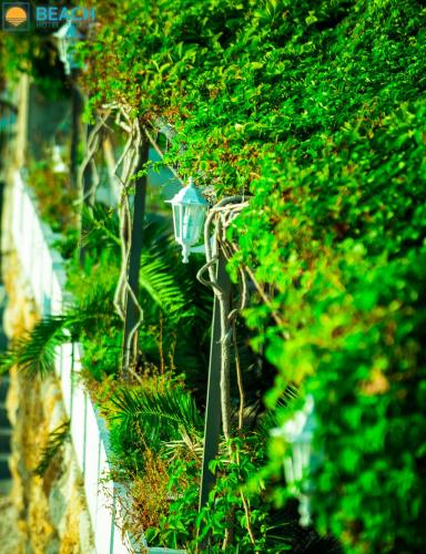 Beach Hotel - image 14