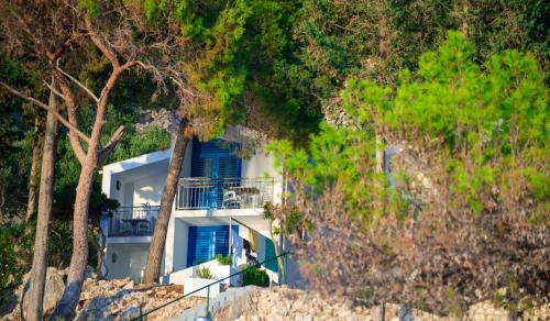 Beach Hotel - image 7