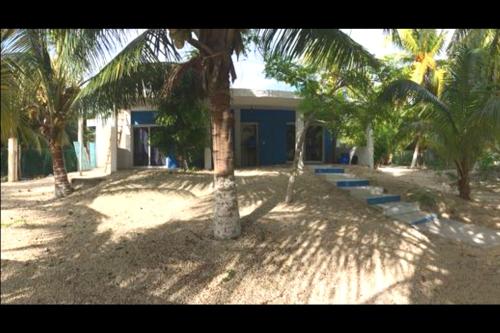 

C01 New Home El Cuyo