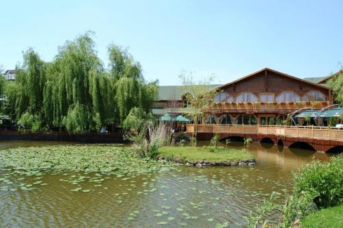 Complex Turistic Darina Sancraiu de Mures - image 10