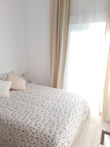 Apartamentos Villajovita