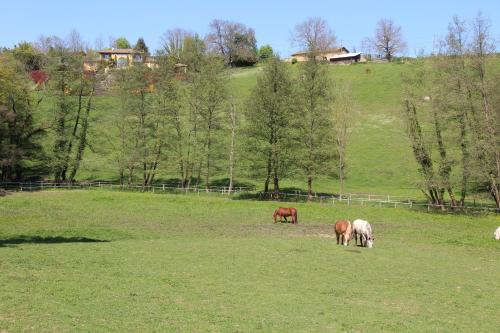 Le Vallon de Saint André
