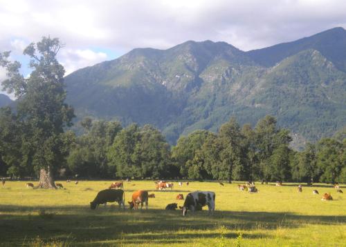 Hostal Tour Pucon – Pucon, MI