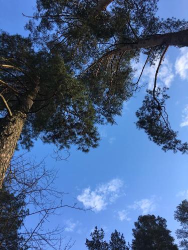 Dru-Sky, Druskininkai (foto 8)