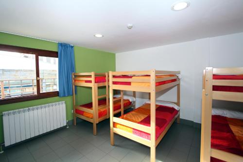 Bed in 6-Bed Dormitory Room