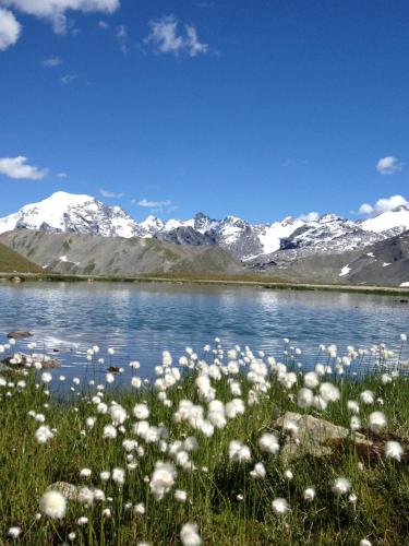 Appartamenti Pirovano Bormio