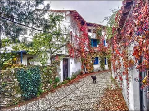 周邊環境, Casita Collado 3 in 阿拉哈爾