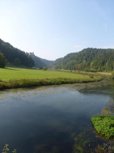 Panorama Ferienwohnungen Thiem - image 2