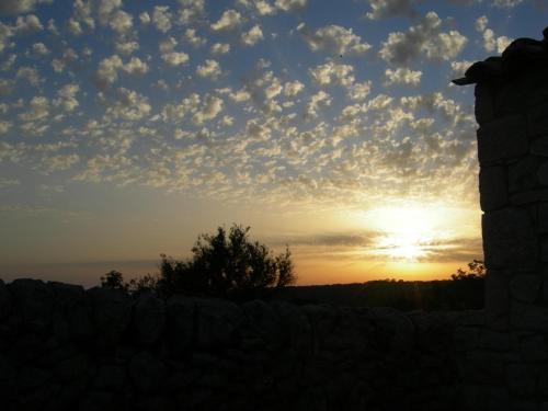 Tenuta Zannafondo - image 8
