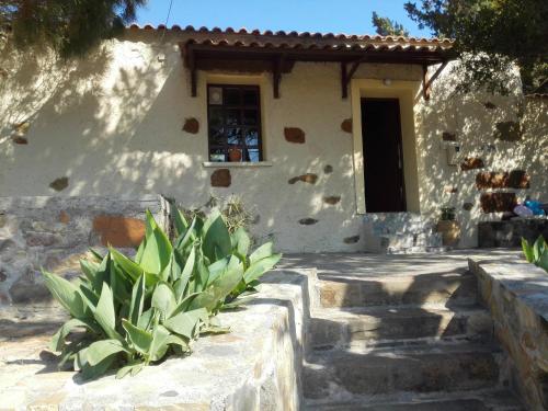  Trouli House in Stalós