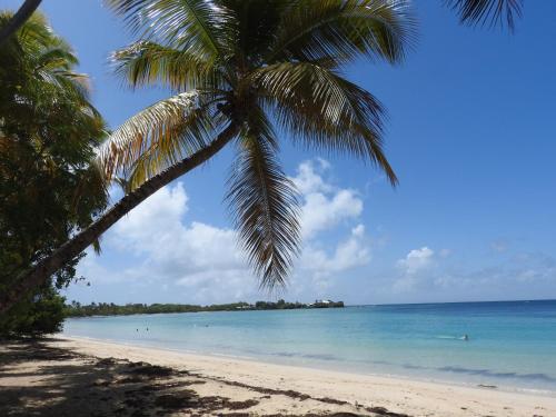 TI Caraibes 5205