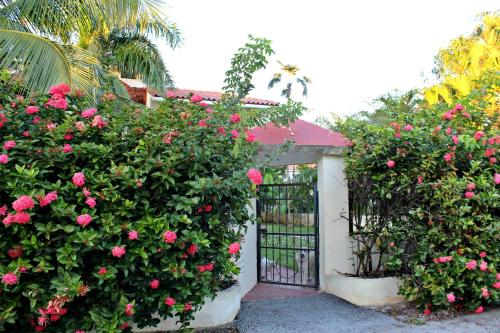 Entrance, Sweet Home Punta Cana Guest House - VILLA Q15A in Punta Cana