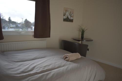 Home and a Stay