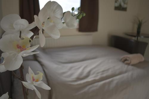 Home and a Stay 3