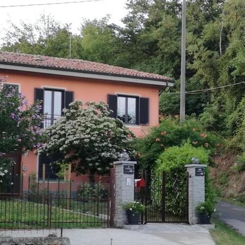 Le rose di Mapi 1