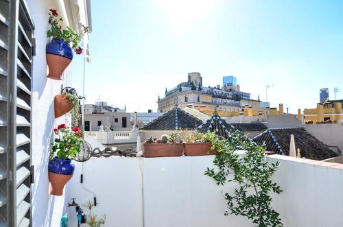 Alohamundi Campana, Sevilla (Foto 8)