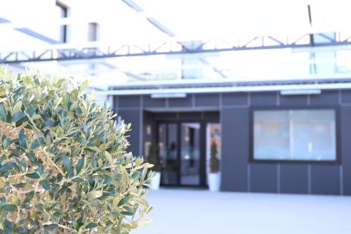 Hotel Leo - image 3