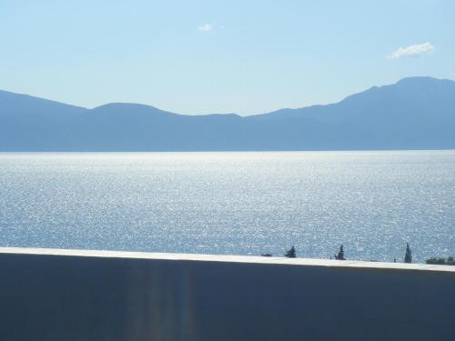 Aparthotel Pecic - image 3