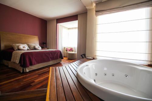 Antu Malal Hotel in 플라사 우인쿨