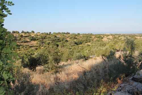 Tenuta Zannafondo - image 4