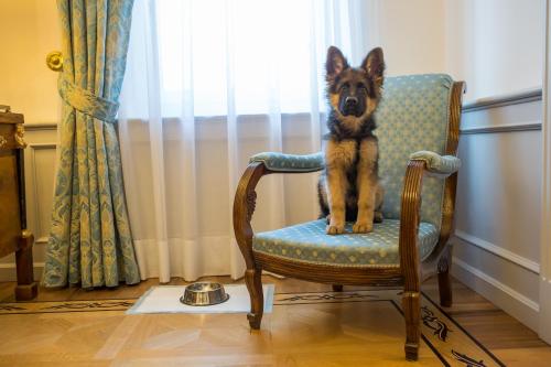 Due Torri Hotel - image 9