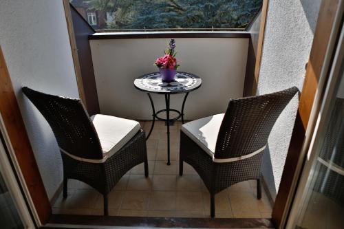 伯尔尼美好图片