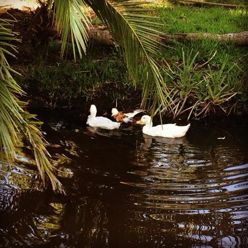 拉斯康迪达牧场农家乐