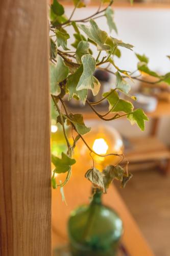 Lisbon Story Guesthouse - image 11