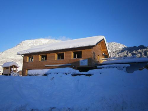 Haus Zitterklapfen - Apartment - Au im Bregenzerwald