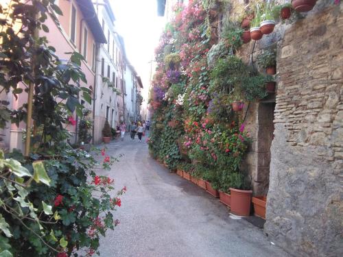 La Casetta dei Sogni - image 3
