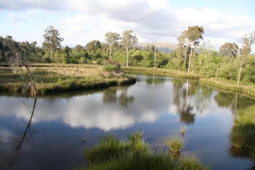 Quinta de Santa Maria - image 6