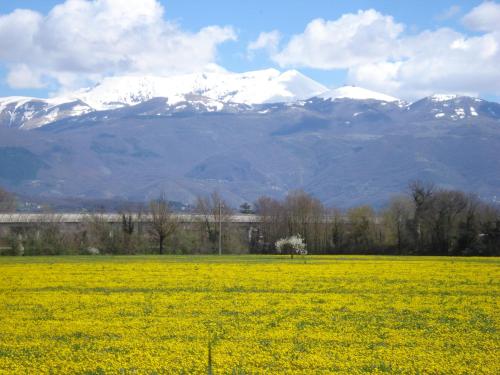 Dentro le mura