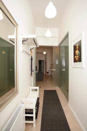 Luxury apartment Spálená, Praha (fotografie 6)