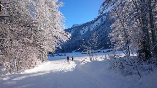 Mein Elternhaus Gästehaus Waltraud Fink in Au im Bregenzerwald