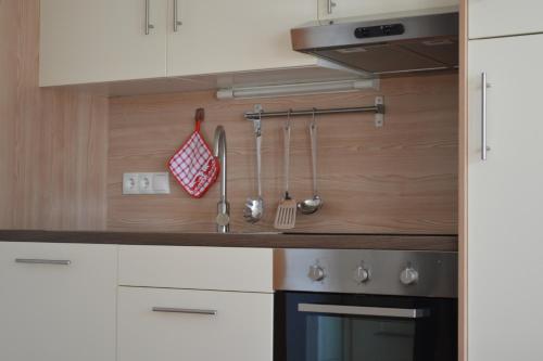Apartment Bachmann - main image