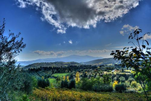 Agriturismo Fraschetta - image 8