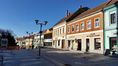  Sarolt Apartman in 8200 Veszprém