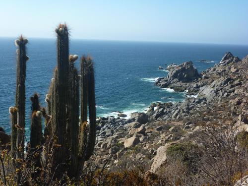 Dintorni, Cabana Ecologica Trotamundos in Coquimbo