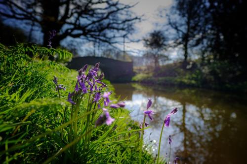 Mill Lodge-Brecon Beacons