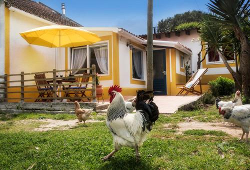  Farm Holidays Silvercoast in Caldas da Rainha
