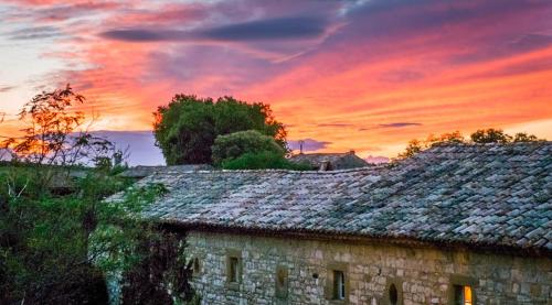 Château d'Arpaillargues - TERITORIA